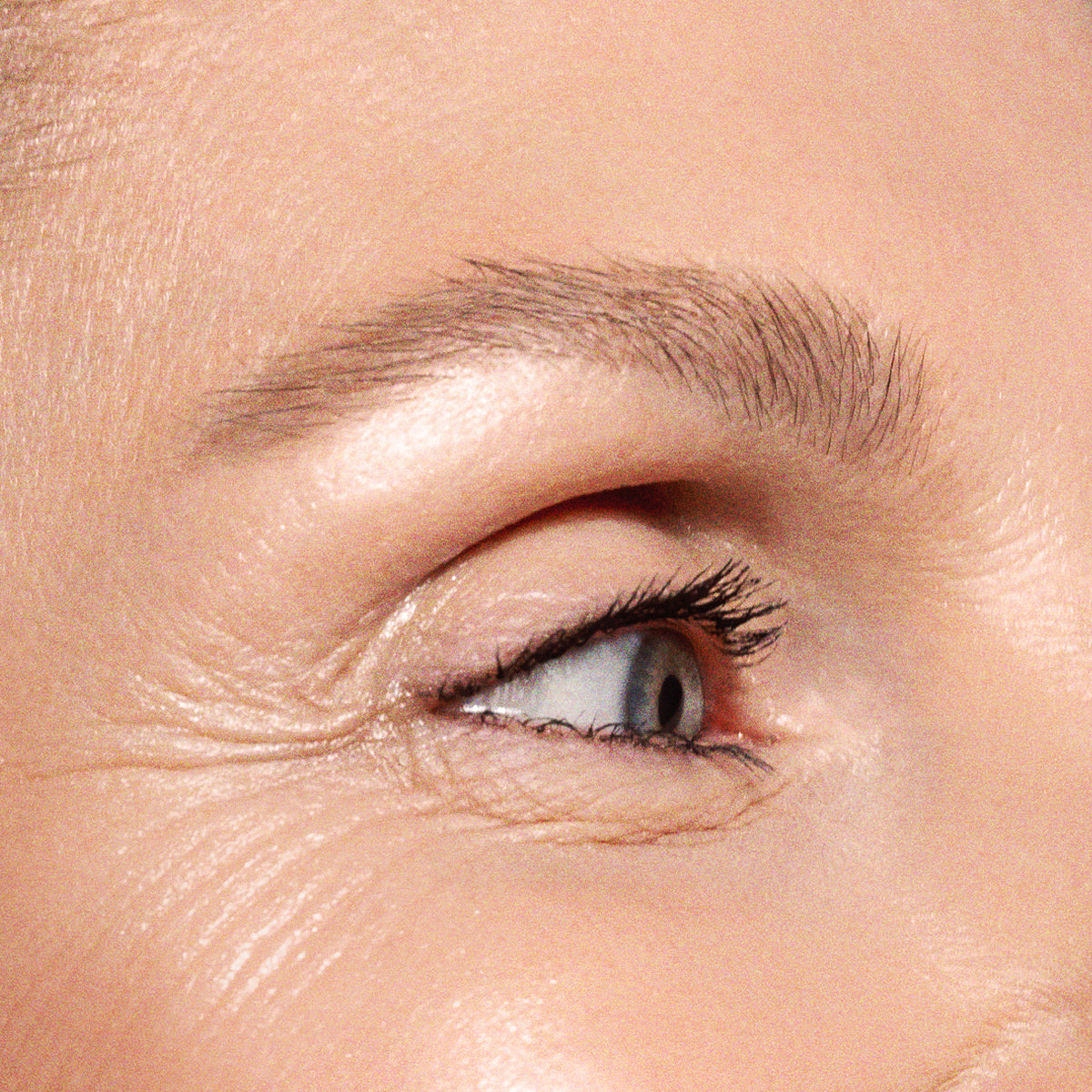 Close-up of a person's eye and eyebrow showing skin texture