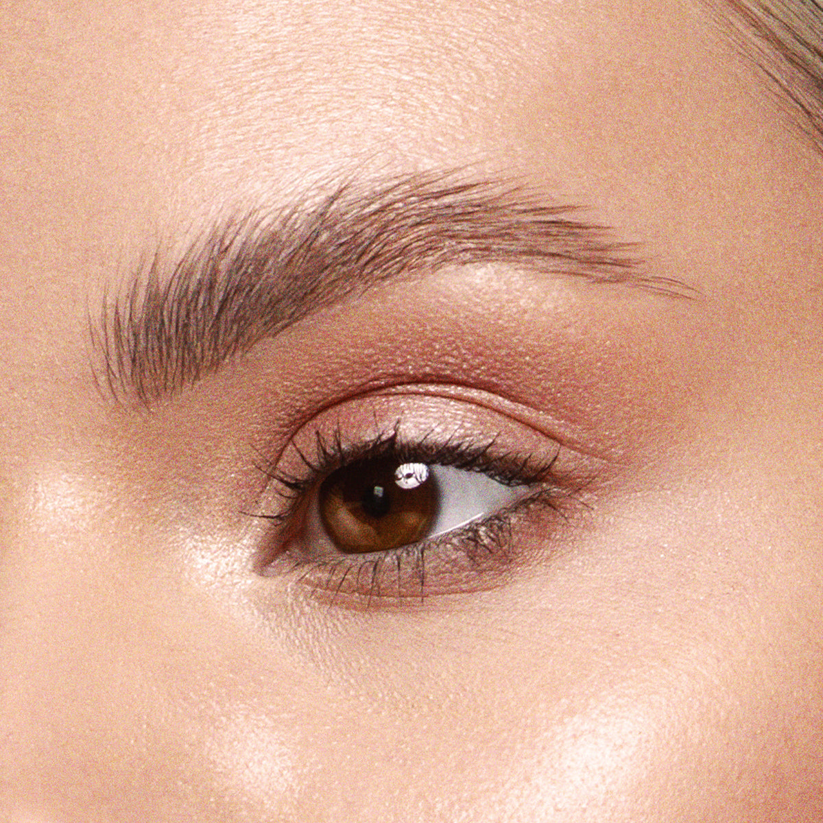 Close-up of a person's eye with natural makeup