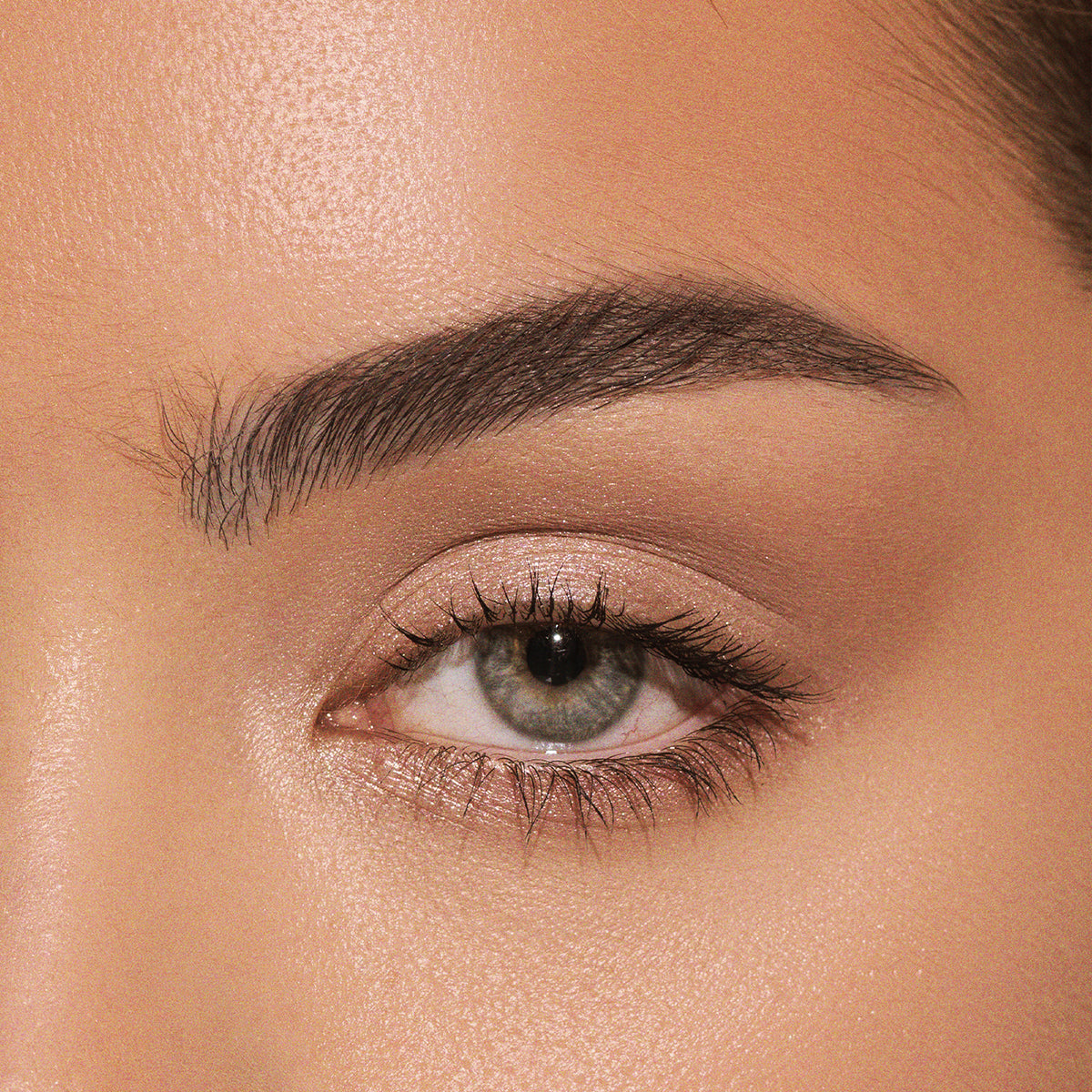 Close-up of a person's eye with makeup.